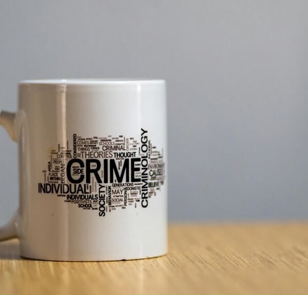 Lombroso Theory – Criminal Anthropology&hellip;
